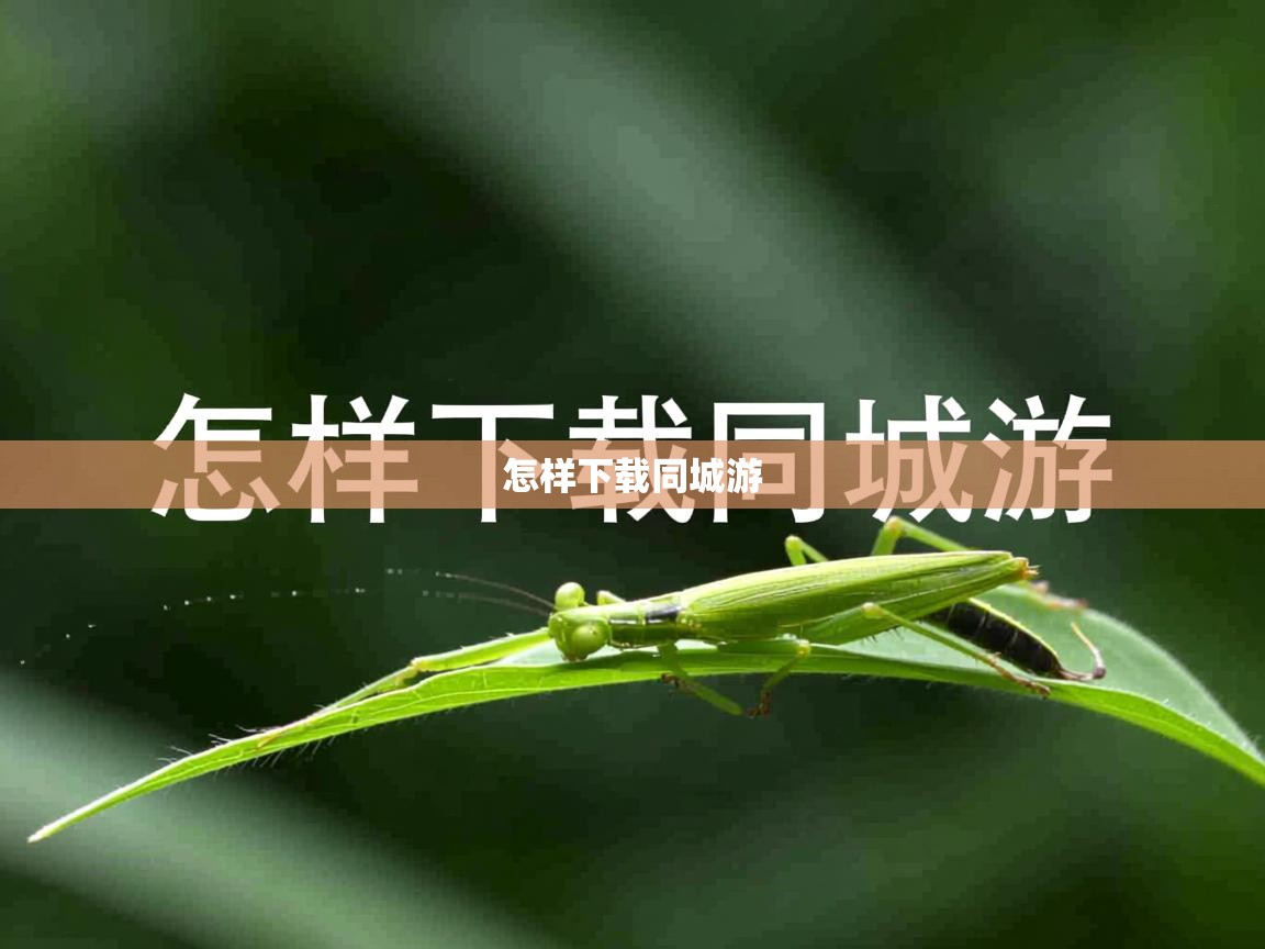  怎样下载同城游 