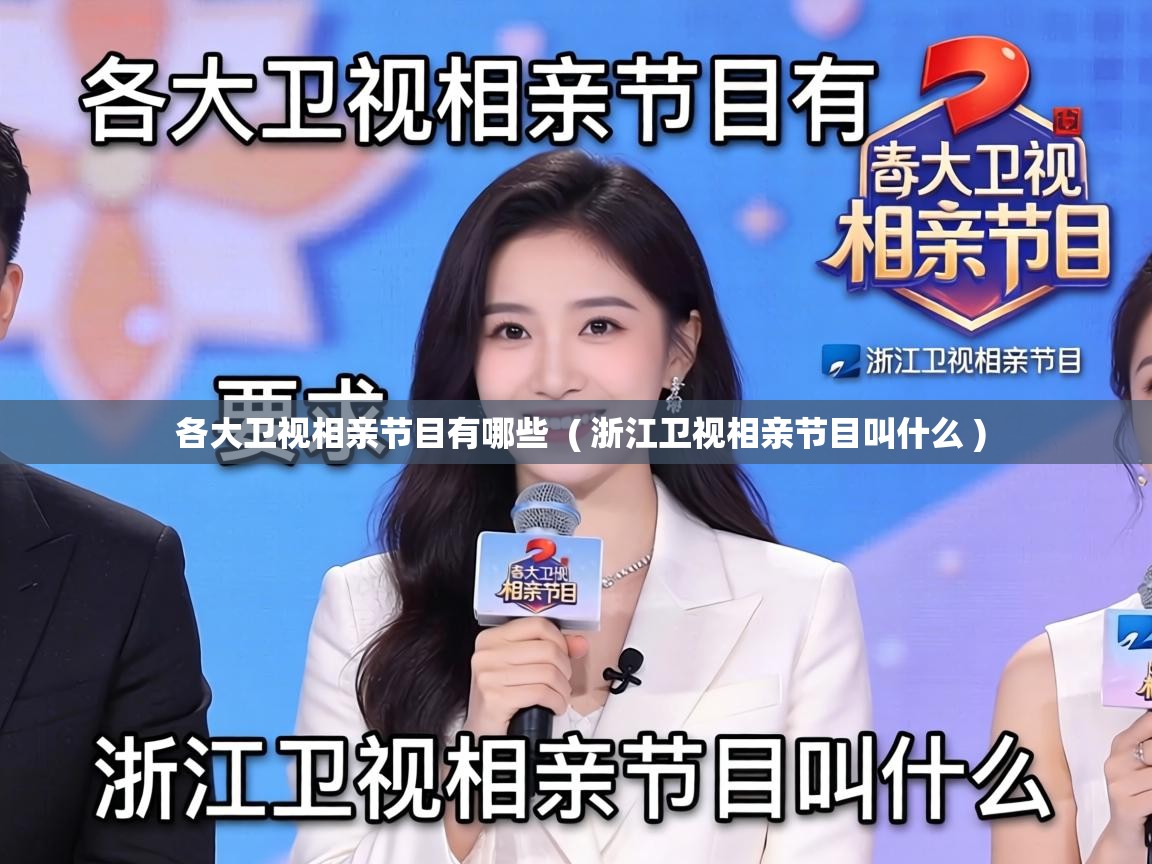  各大卫视相亲节目有哪些  ( 浙江卫视相亲节目叫什么 )