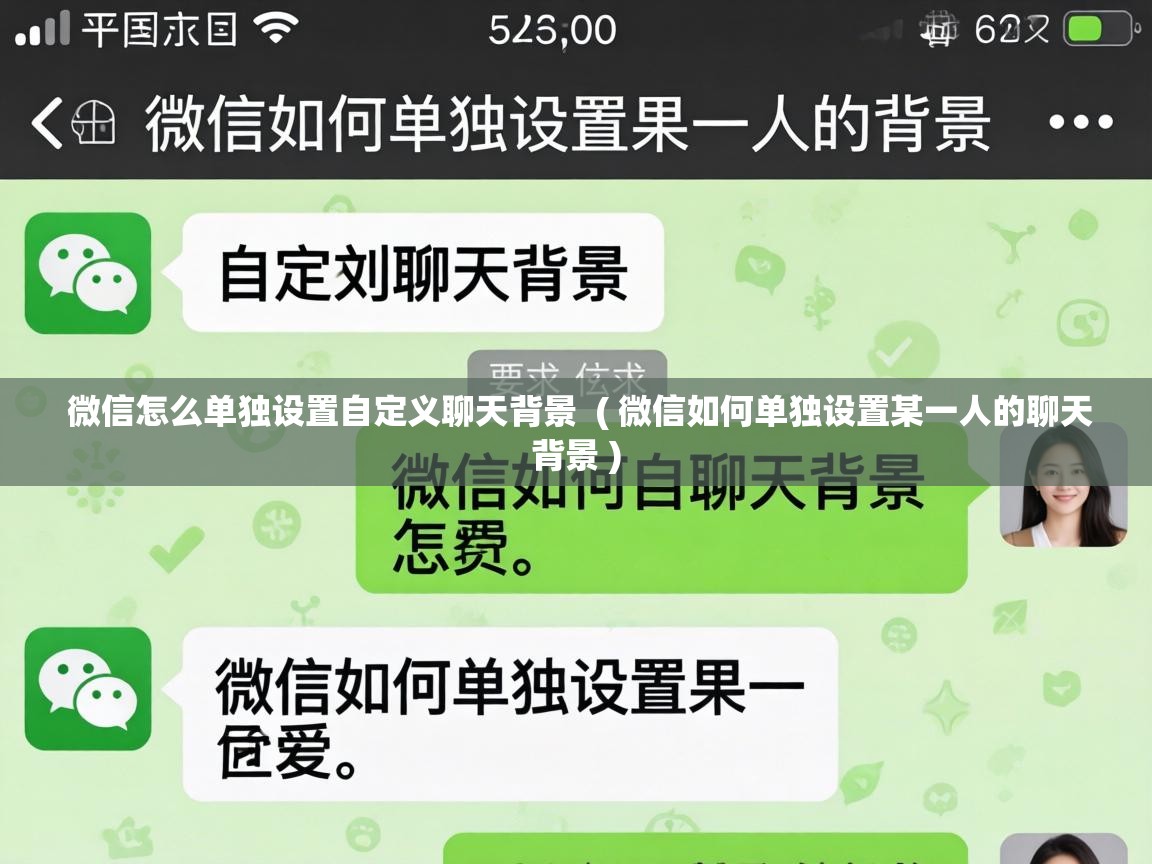  微信怎么单独设置自定义聊天背景  ( 微信如何单独设置某一人的聊天背景 )