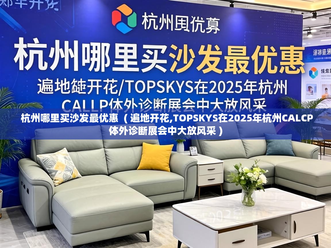  杭州哪里买沙发最优惠  ( 遍地开花,TOPSKYS在2025年杭州CALCP体外诊断展会中大放风采 )