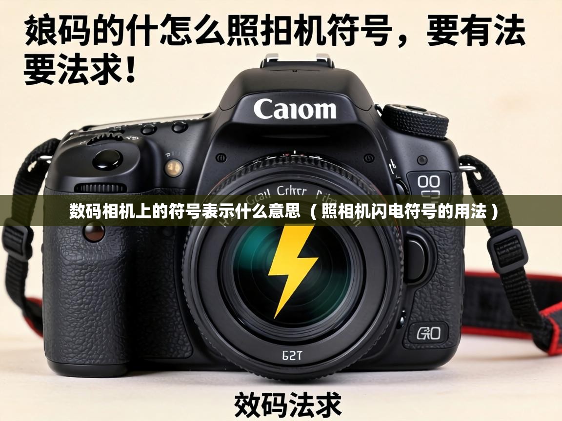  数码相机上的符号表示什么意思  ( 照相机闪电符号的用法 )