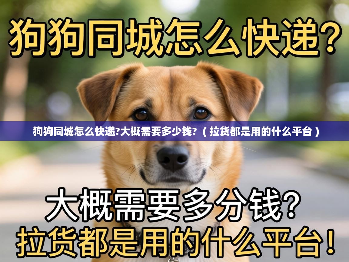  狗狗同城怎么快递?大概需要多少钱?  ( 拉货都是用的什么平台 )