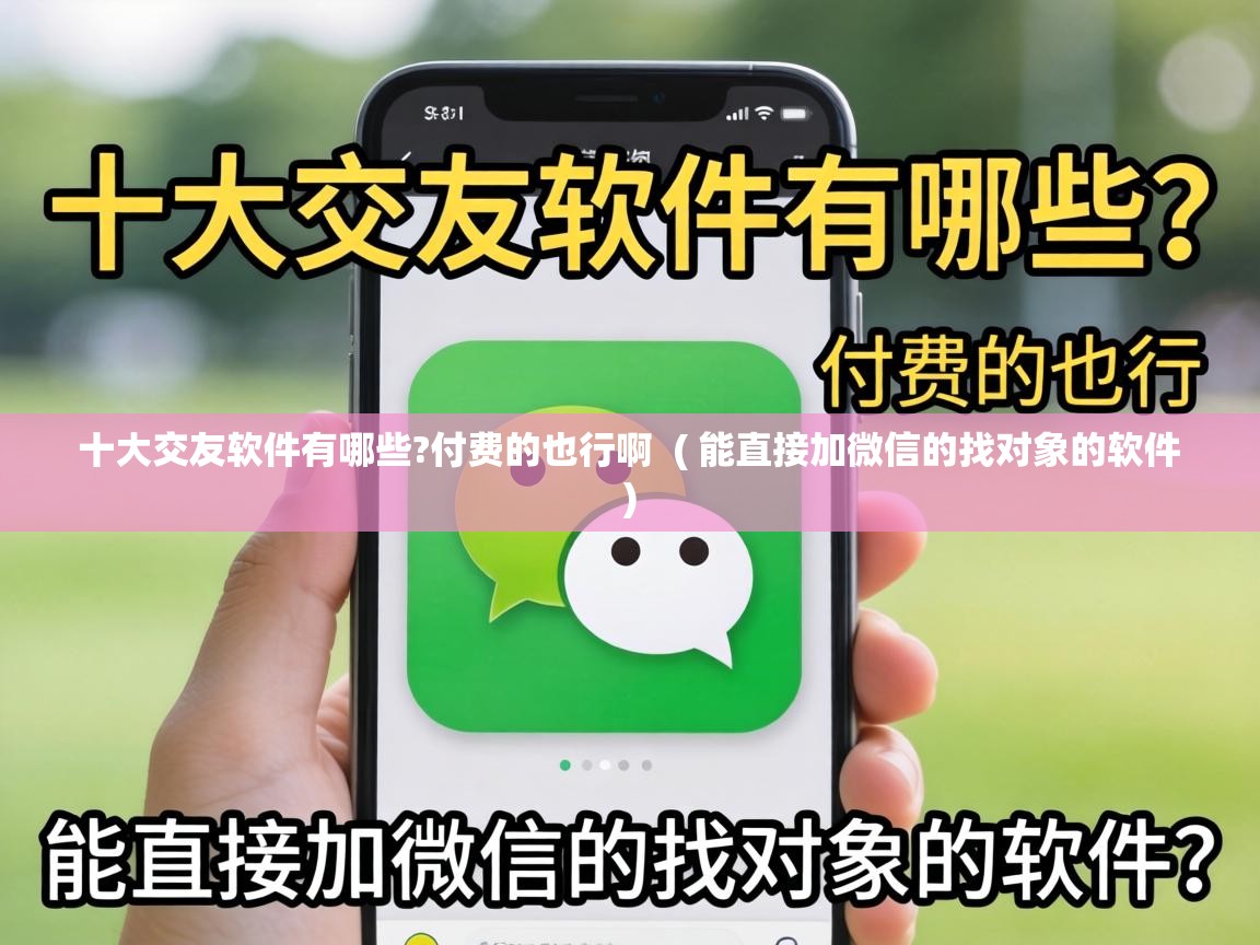  十大交友软件有哪些?付费的也行啊  ( 能直接加微信的找对象的软件 )