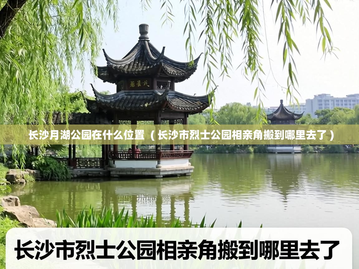  长沙月湖公园在什么位置  ( 长沙市烈士公园相亲角搬到哪里去了 )