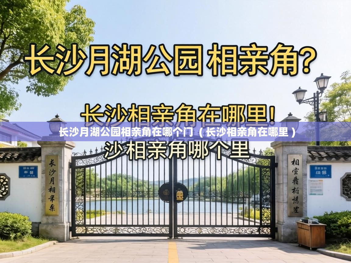  长沙月湖公园相亲角在哪个门  ( 长沙相亲角在哪里 )