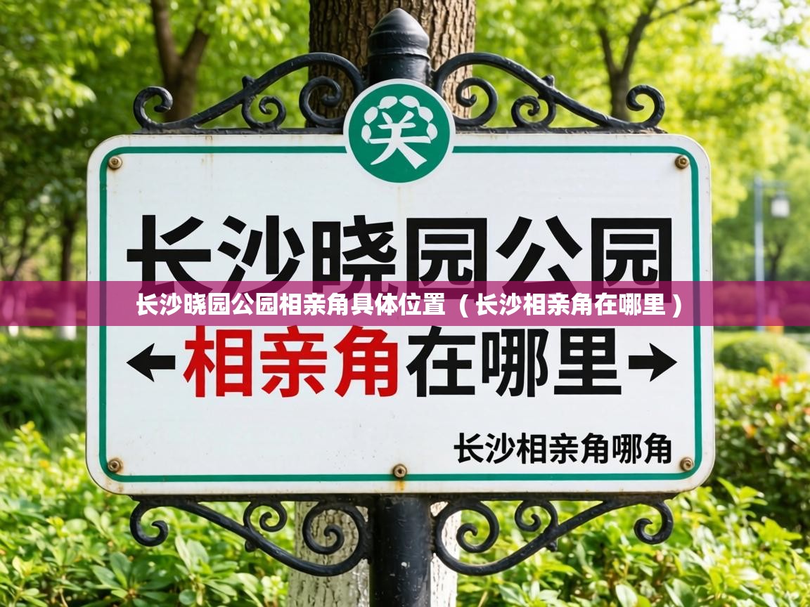  长沙晓园公园相亲角具体位置  ( 长沙相亲角在哪里 )