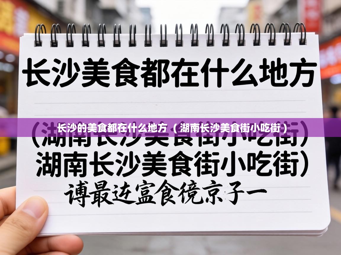  长沙的美食都在什么地方  ( 湖南长沙美食街小吃街 )