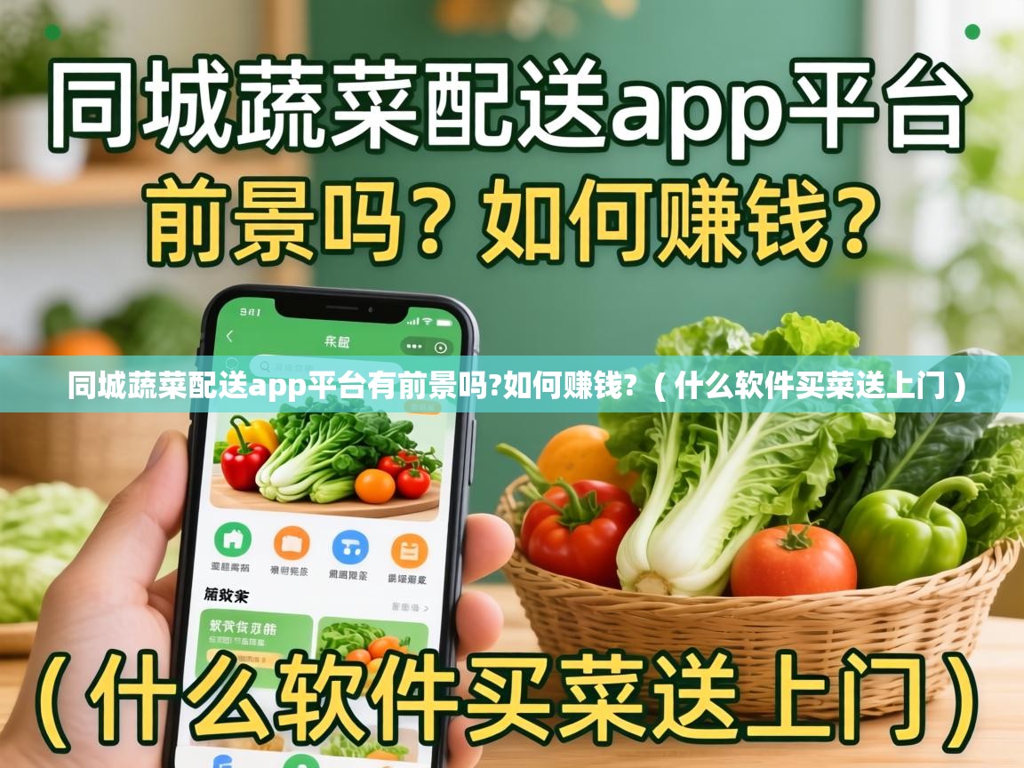  同城蔬菜配送app平台有前景吗?如何赚钱?  ( 什么软件买菜送上门 )