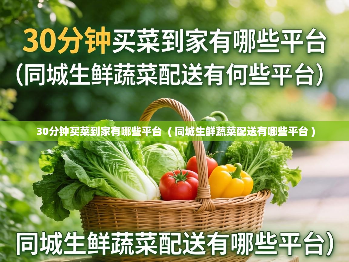  30分钟买菜到家有哪些平台  ( 同城生鲜蔬菜配送有哪些平台 )