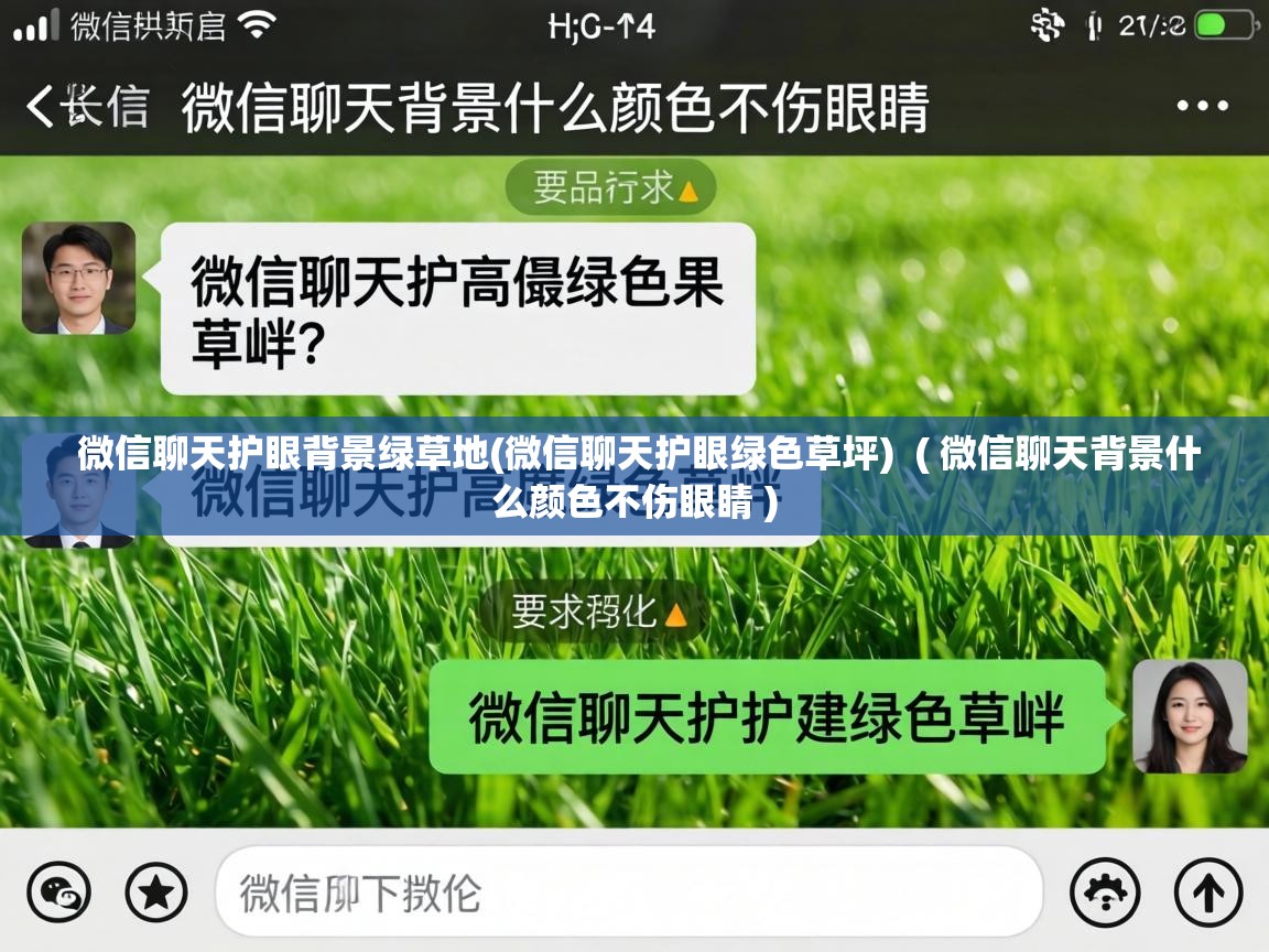  微信聊天护眼背景绿草地(微信聊天护眼绿色草坪)  ( 微信聊天背景什么颜色不伤眼睛 )