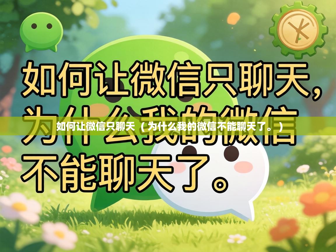  如何让微信只聊天  ( 为什么我的微信不能聊天了。 )