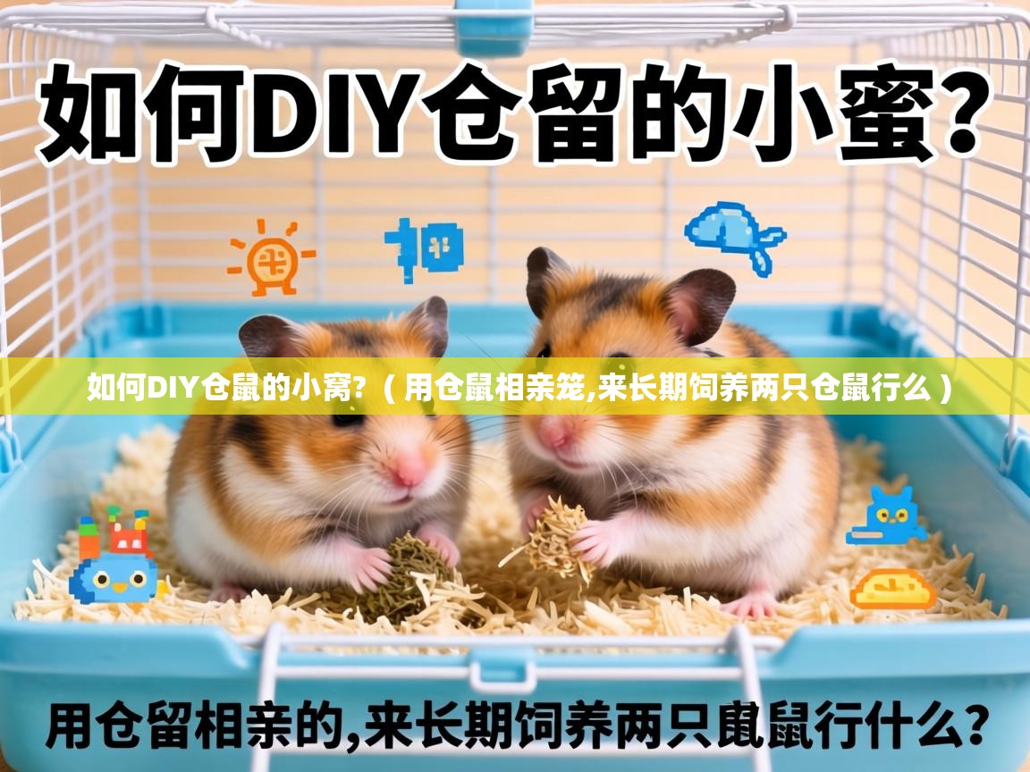  如何DIY仓鼠的小窝?  ( 用仓鼠相亲笼,来长期饲养两只仓鼠行么 )