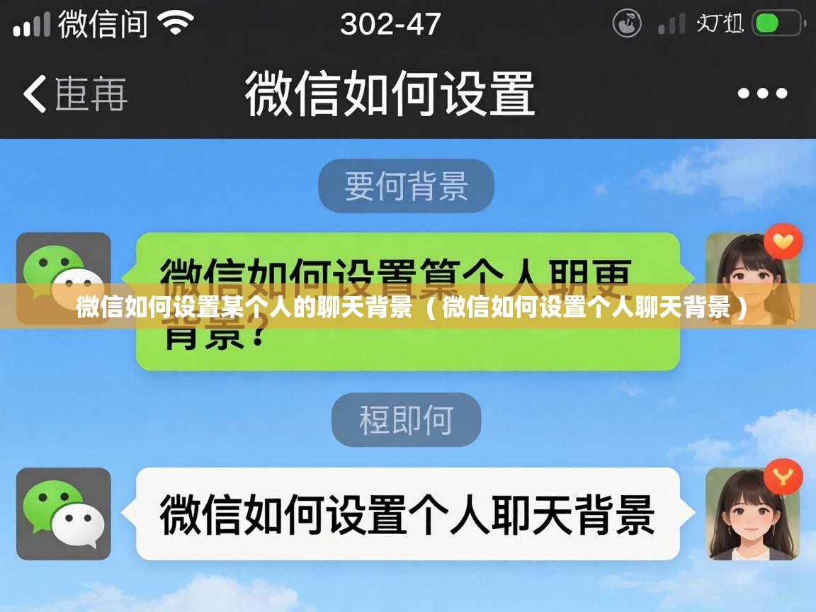  微信如何设置某个人的聊天背景  ( 微信如何设置个人聊天背景 )