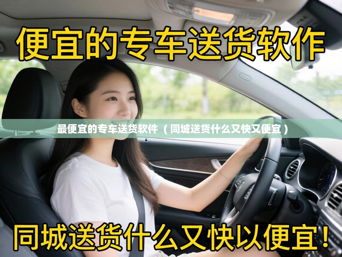  最便宜的专车送货软件  ( 同城送货什么又快又便宜 )