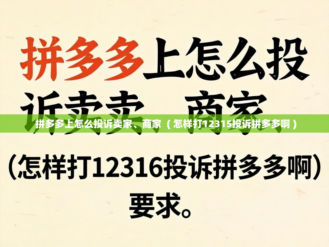  拼多多上怎么投诉卖家、商家  ( 怎样打12315投诉拼多多啊 )