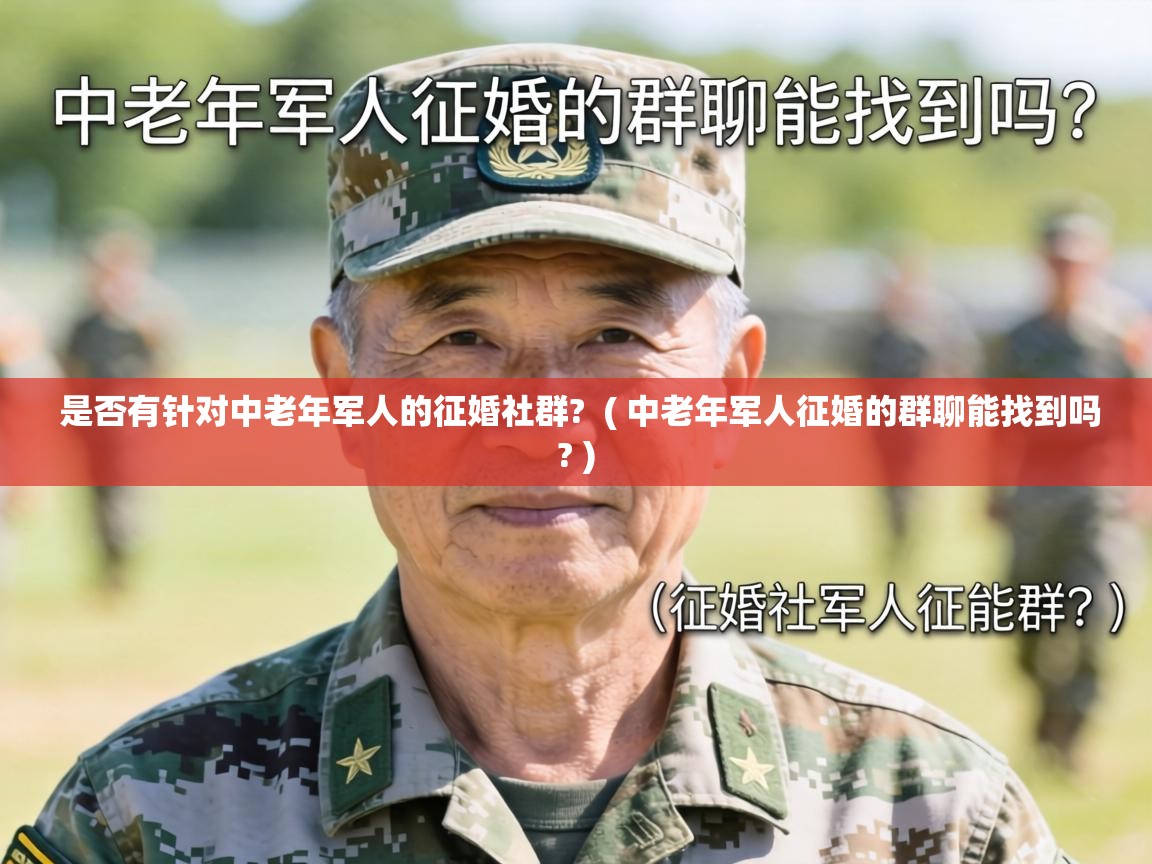  是否有针对中老年军人的征婚社群?  ( 中老年军人征婚的群聊能找到吗? )