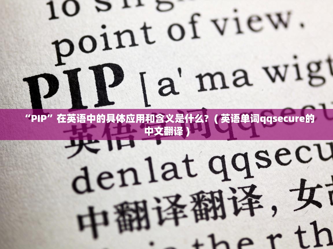  “PIP”在英语中的具体应用和含义是什么?  ( 英语单词qqsecure的中文翻译 )