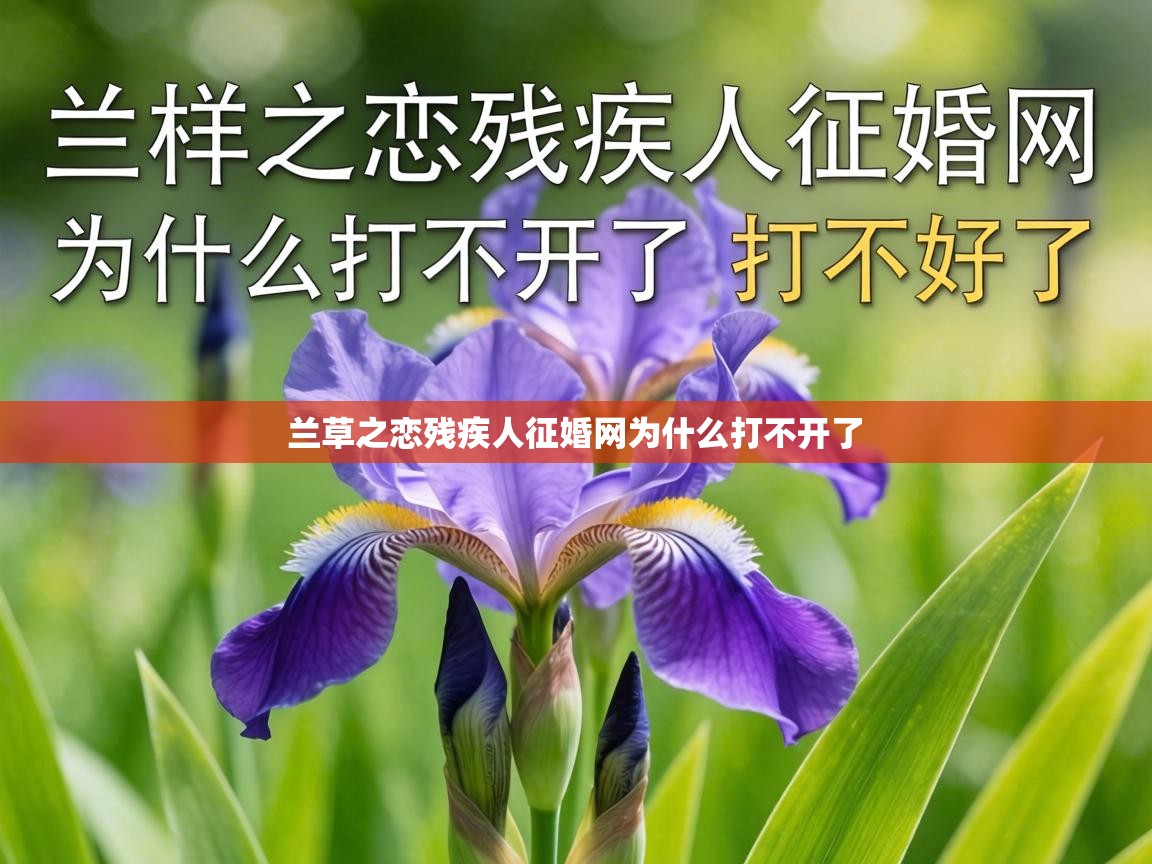  兰草之恋残疾人征婚网为什么打不开了 
