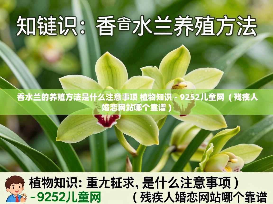  香水兰的养殖方法是什么注意事项 植物知识 - 9252儿童网  ( 残疾人婚恋网站哪个靠谱 )