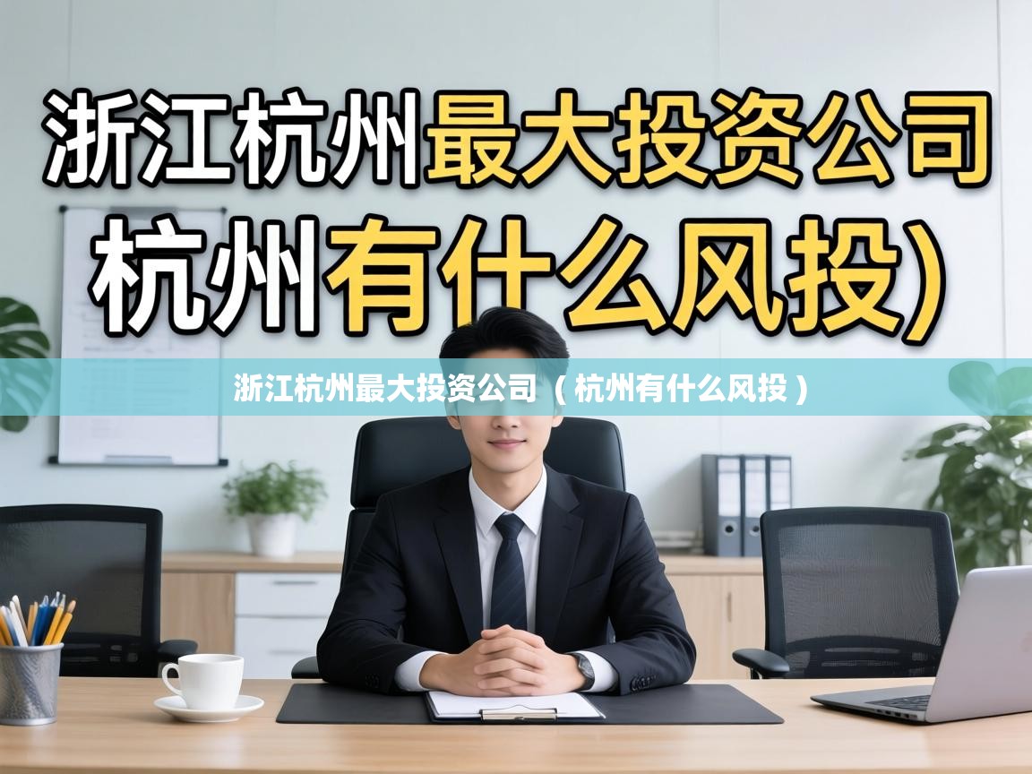  浙江杭州最大投资公司  ( 杭州有什么风投 )