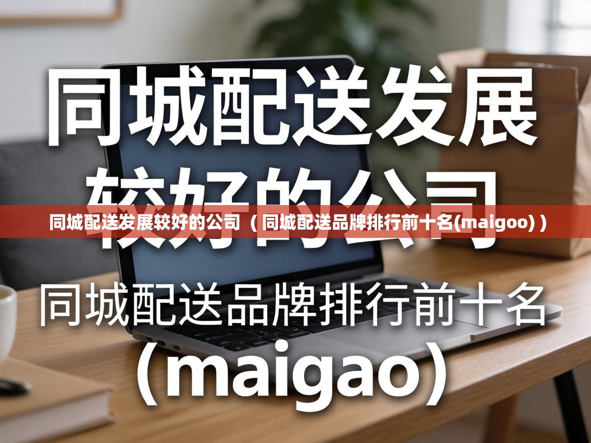  同城配送发展较好的公司  ( 同城配送品牌排行前十名(maigoo) )