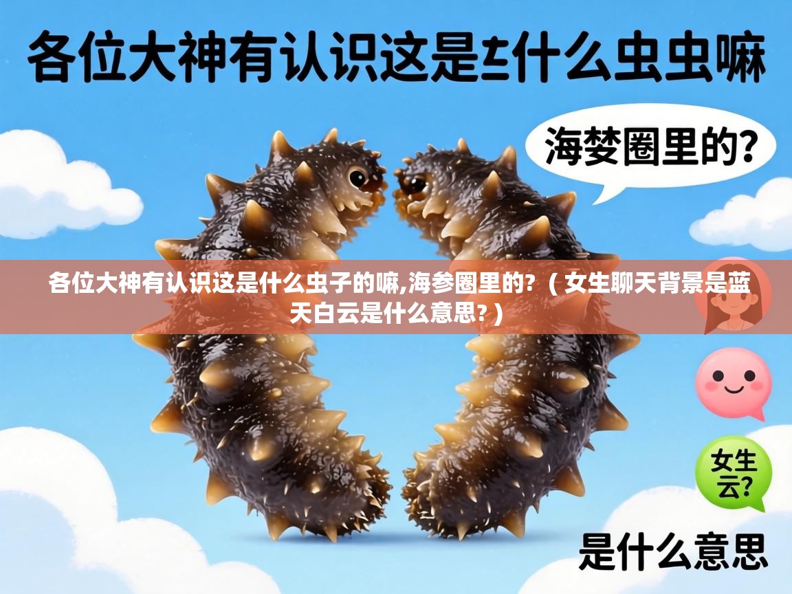 各位大神有认识这是什么虫子的嘛,海参圈里的?  ( 女生聊天背景是蓝天白云是什么意思? )