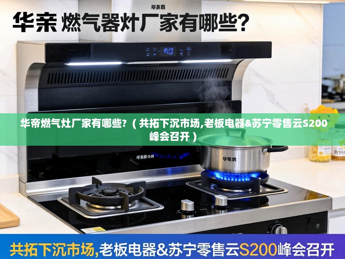  华帝燃气灶厂家有哪些?  ( 共拓下沉市场,老板电器&苏宁零售云S200峰会召开 )