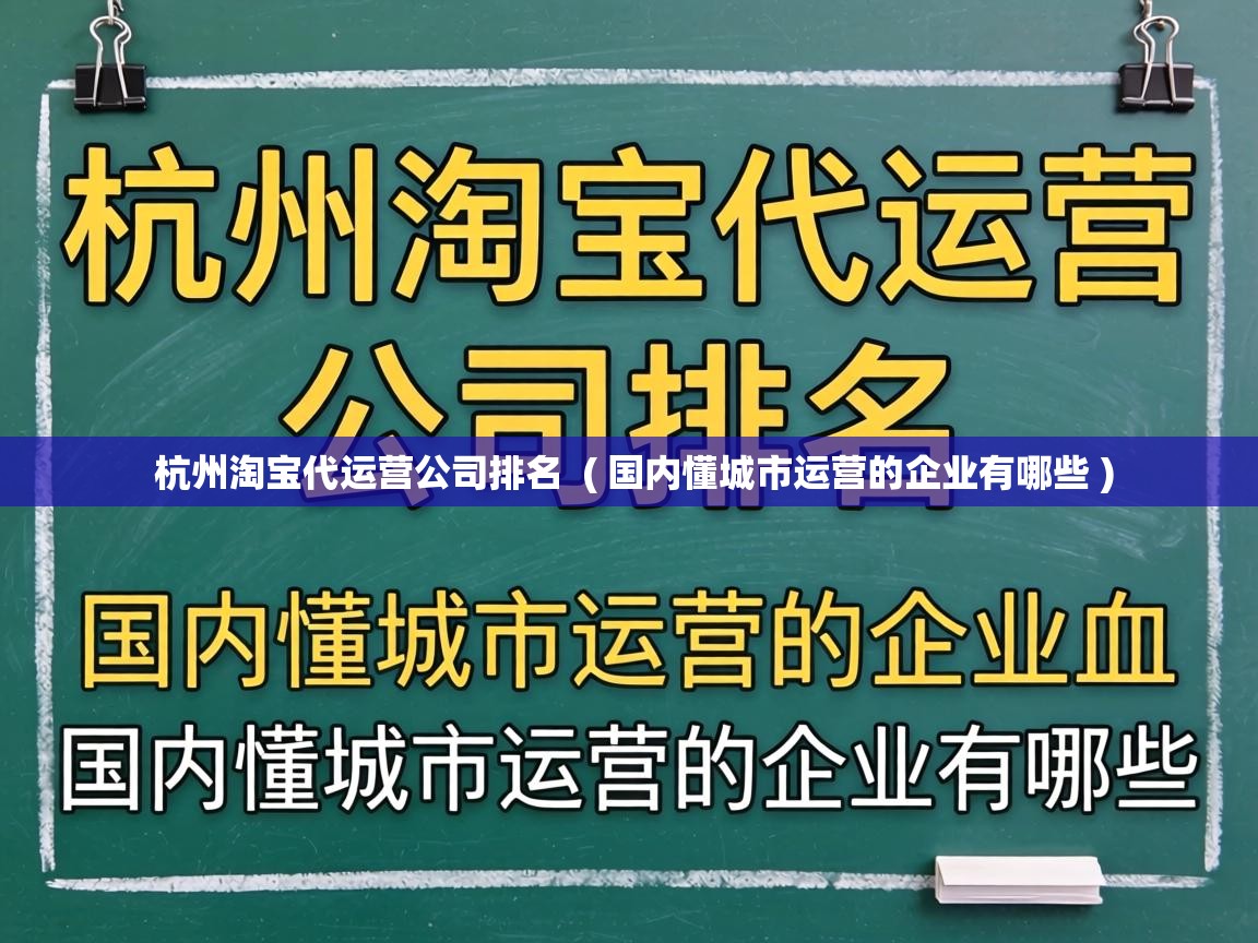  杭州淘宝代运营公司排名  ( 国内懂城市运营的企业有哪些 )