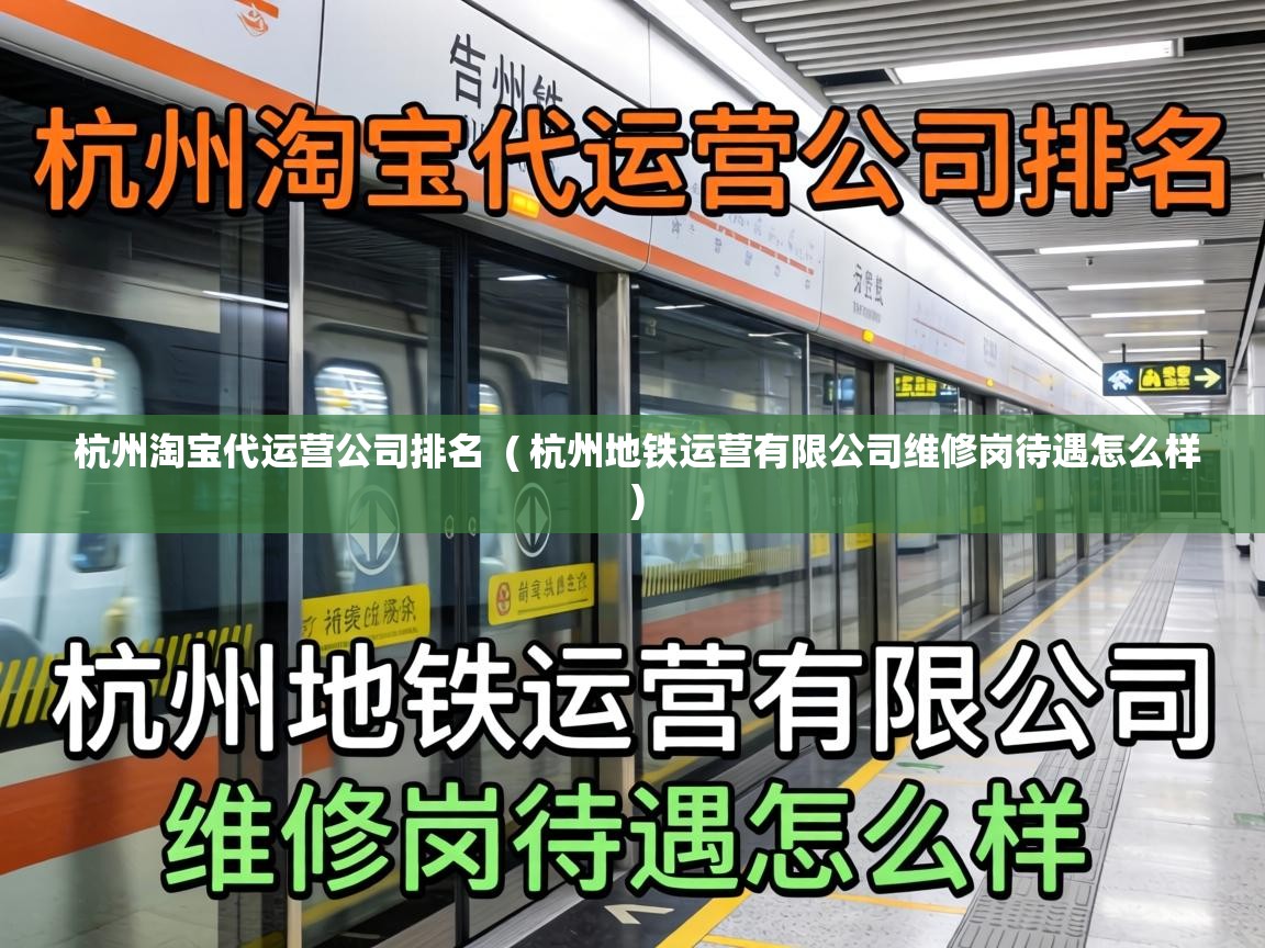  杭州淘宝代运营公司排名  ( 杭州地铁运营有限公司维修岗待遇怎么样 )