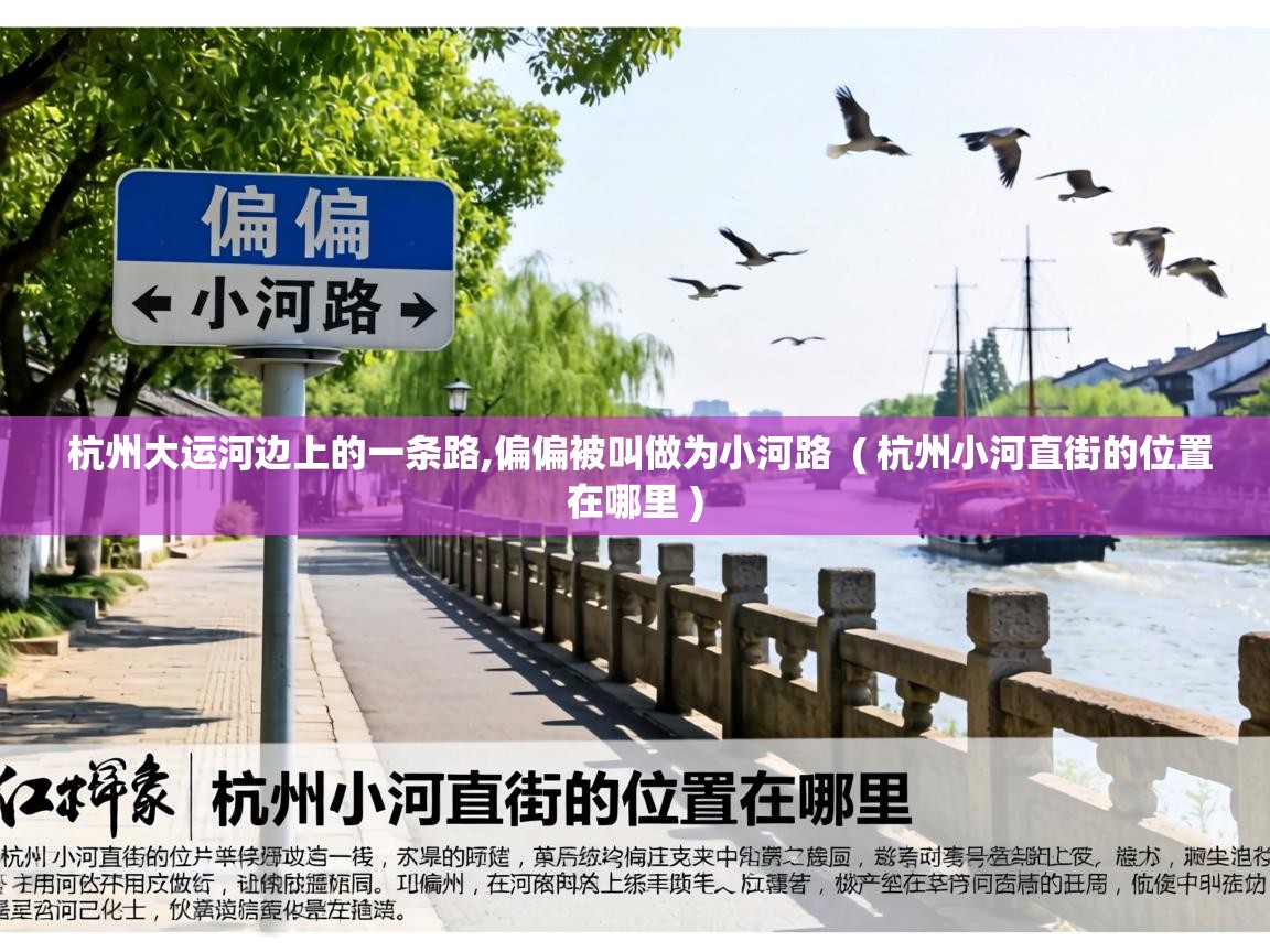  杭州大运河边上的一条路,偏偏被叫做为小河路  ( 杭州小河直街的位置在哪里 )