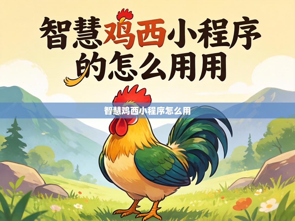  智慧鸡西小程序怎么用 