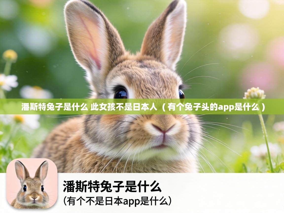  潘斯特兔子是什么 此女孩不是日本人  ( 有个兔子头的app是什么 )