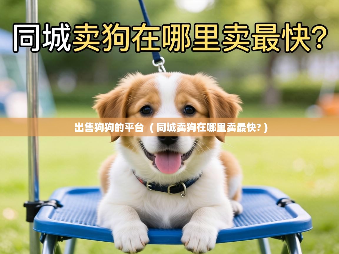  出售狗狗的平台  ( 同城卖狗在哪里卖最快? )