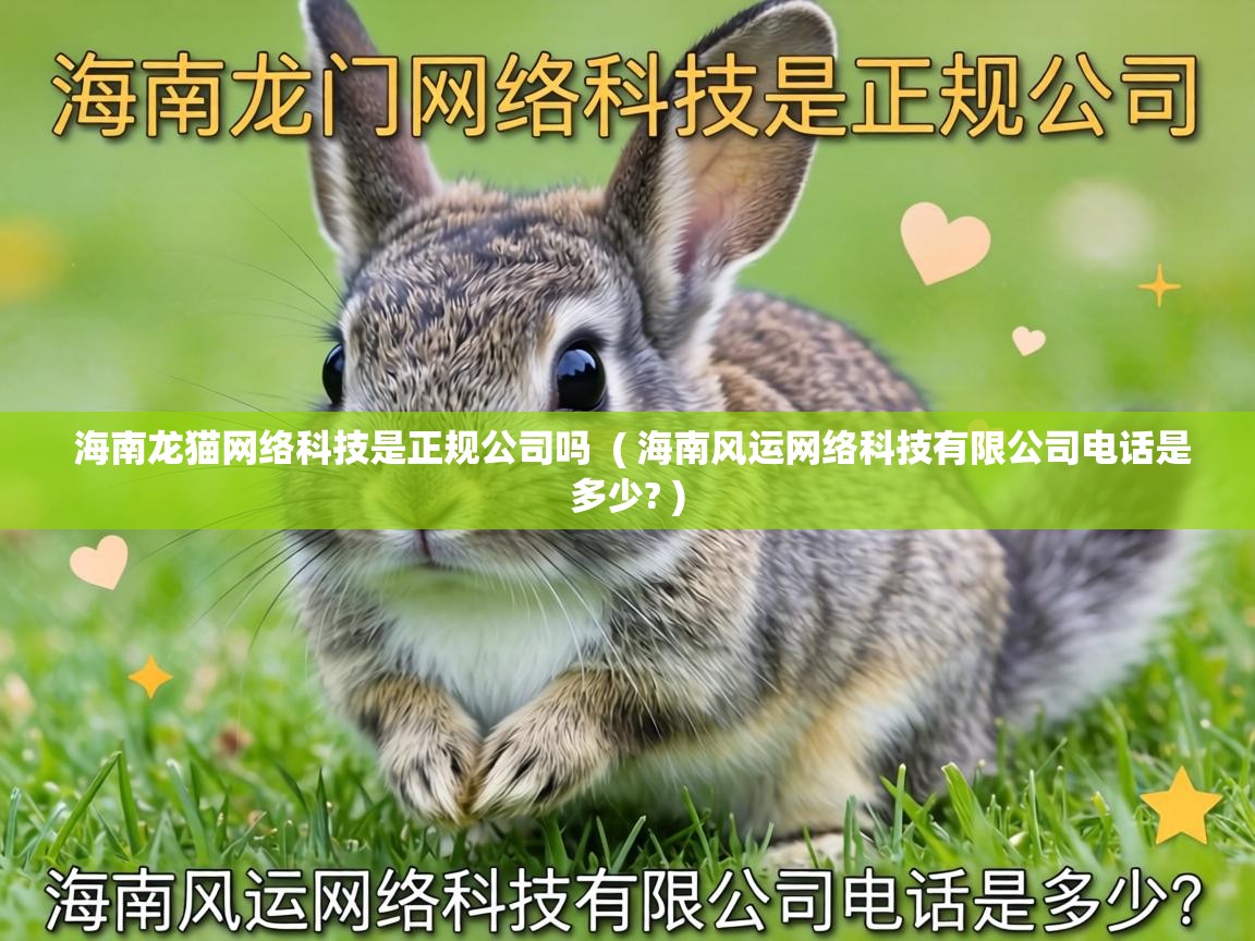  海南龙猫网络科技是正规公司吗  ( 海南风运网络科技有限公司电话是多少? )