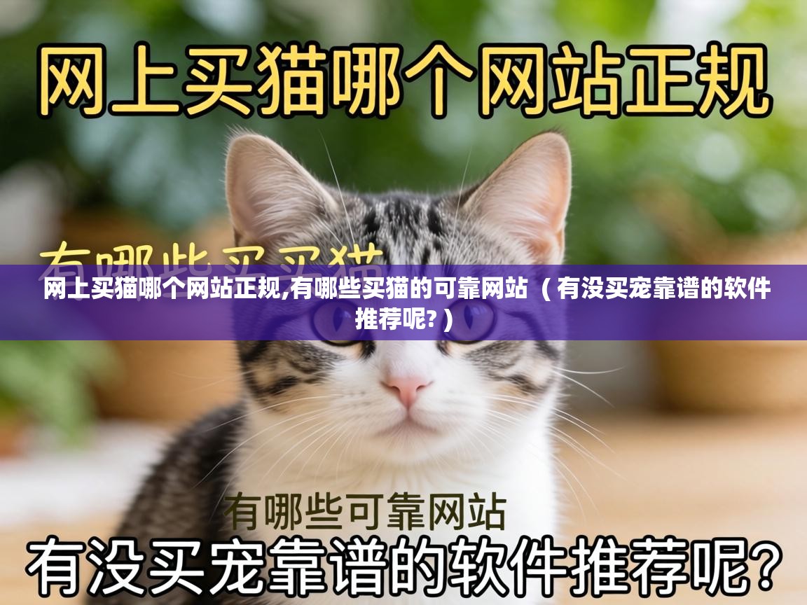  网上买猫哪个网站正规,有哪些买猫的可靠网站  ( 有没买宠靠谱的软件推荐呢? )