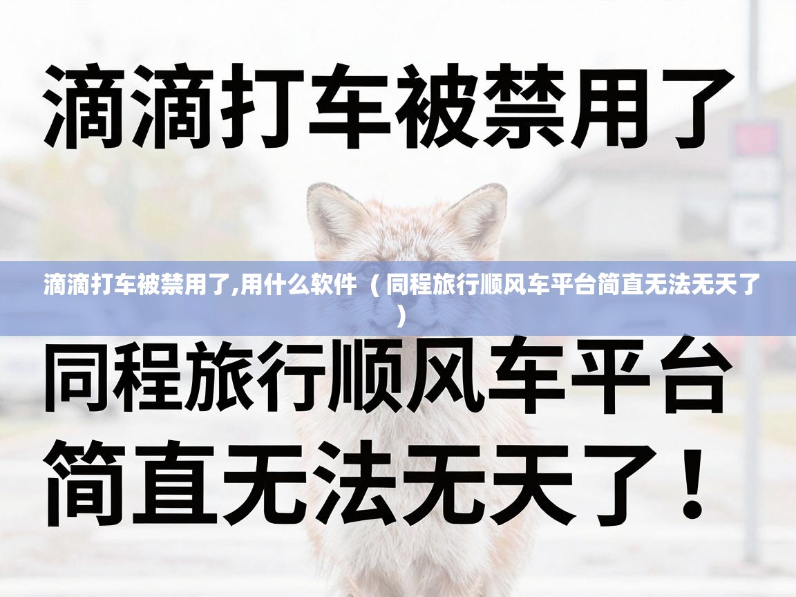  滴滴打车被禁用了,用什么软件  ( 同程旅行顺风车平台简直无法无天了 )