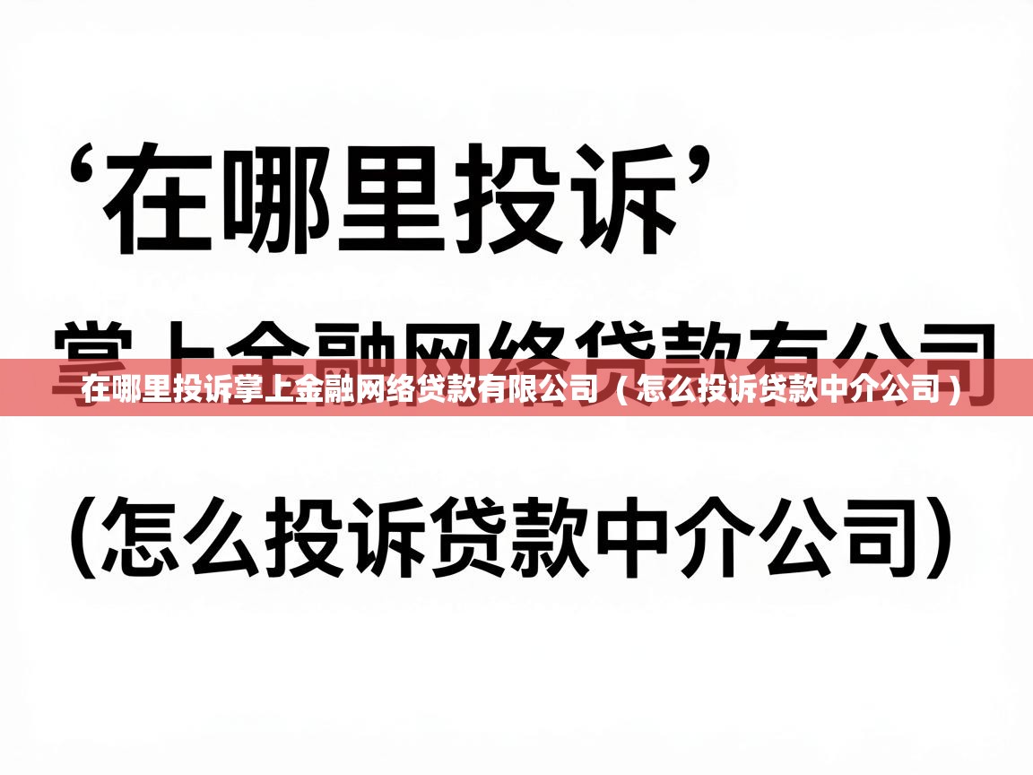  在哪里投诉掌上金融网络贷款有限公司  ( 怎么投诉贷款中介公司 )