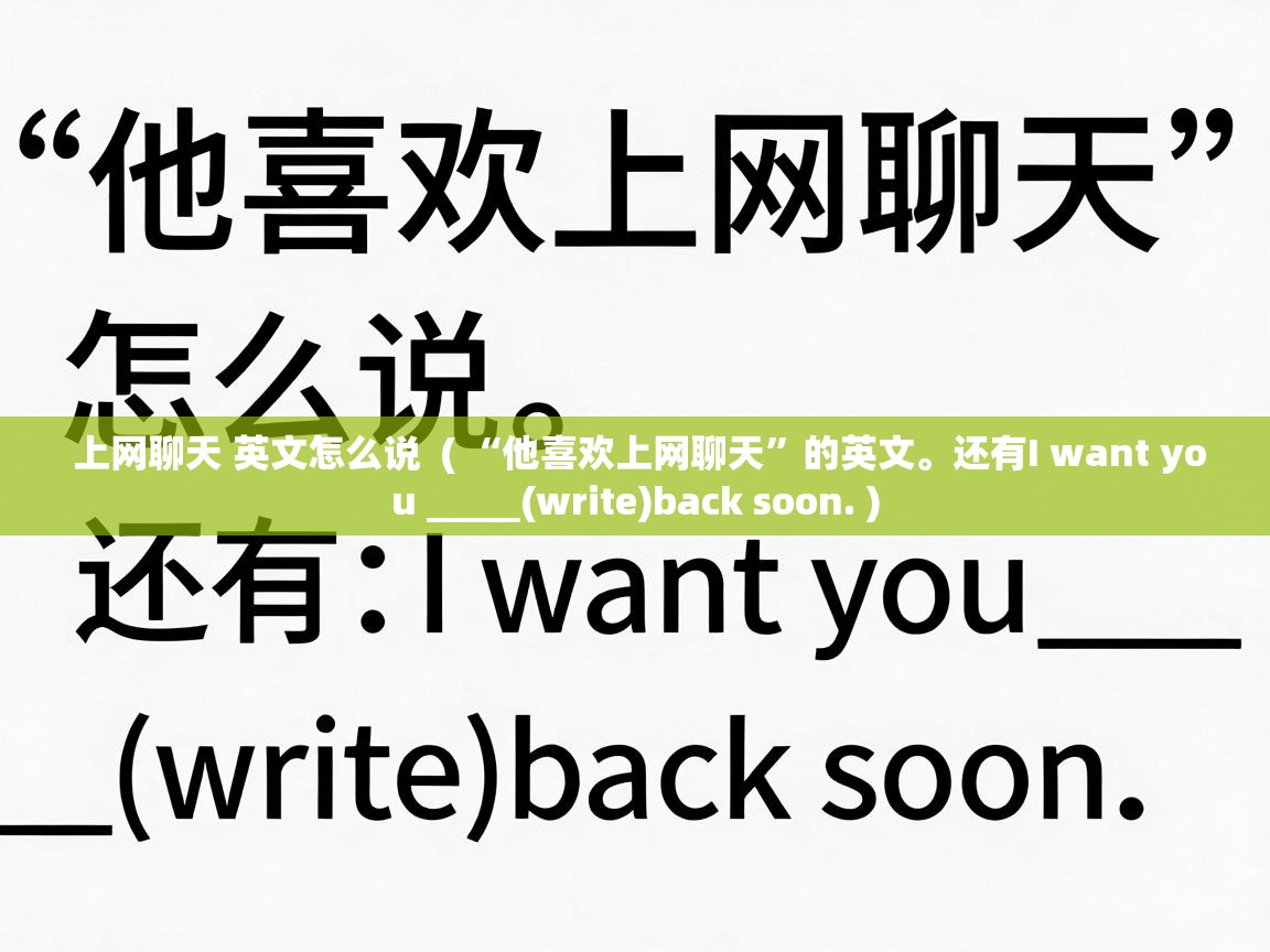  上网聊天 英文怎么说  ( “他喜欢上网聊天”的英文。还有I want you _____(write)back soon. )