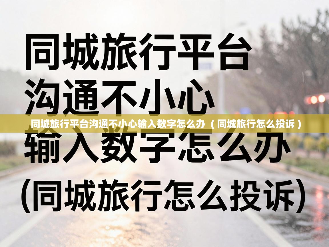  同城旅行平台沟通不小心输入数字怎么办  ( 同城旅行怎么投诉 )