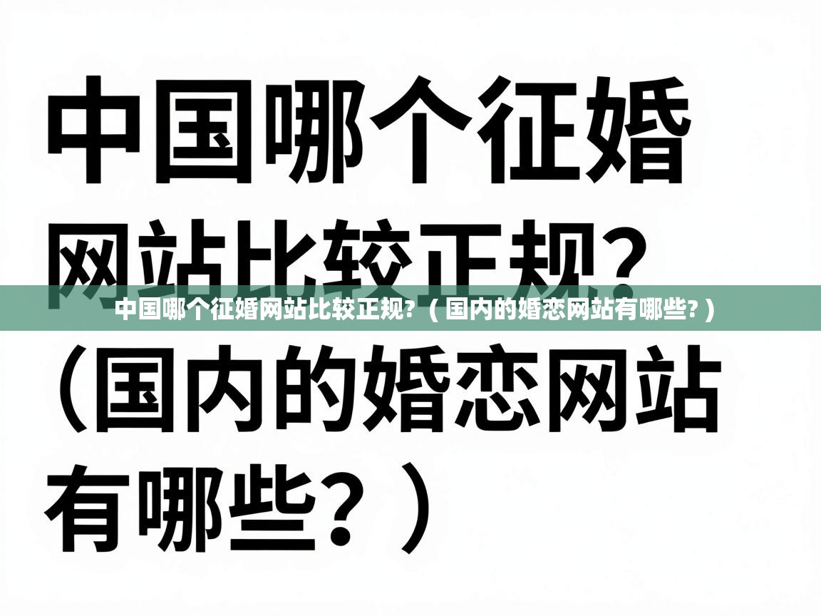  中国哪个征婚网站比较正规?  ( 国内的婚恋网站有哪些? )
