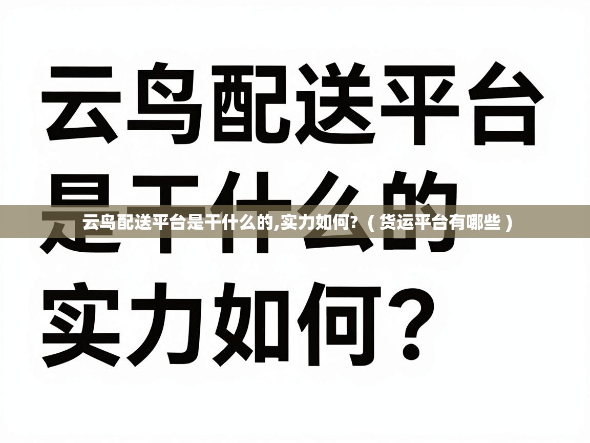  云鸟配送平台是干什么的,实力如何?  ( 货运平台有哪些 )