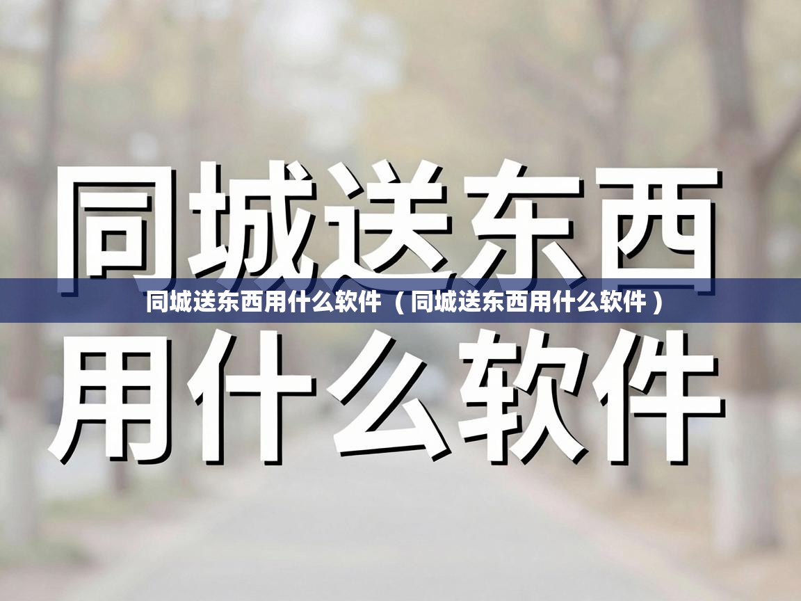  同城送东西用什么软件  ( 同城送东西用什么软件 )