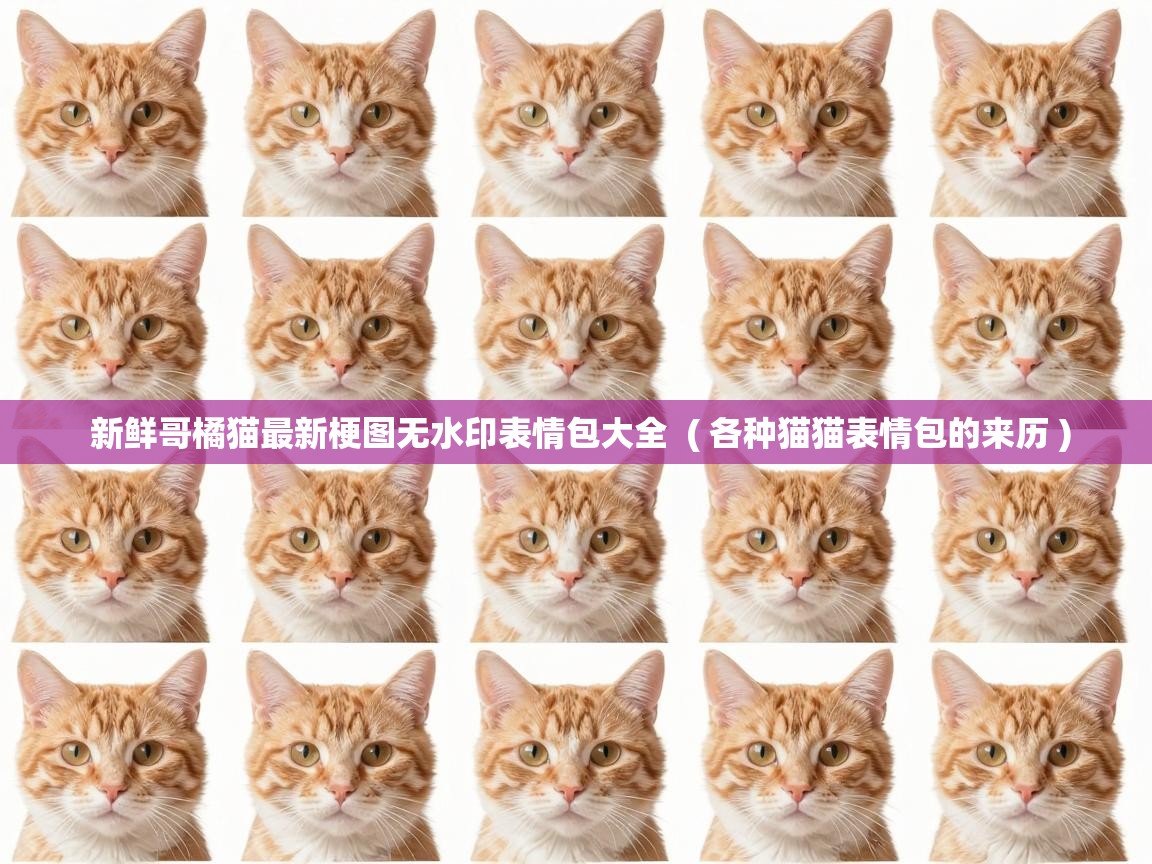  新鲜哥橘猫最新梗图无水印表情包大全  ( 各种猫猫表情包的来历 )