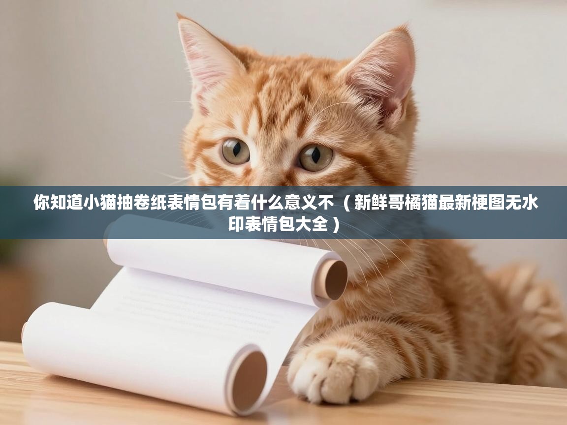  你知道小猫抽卷纸表情包有着什么意义不  ( 新鲜哥橘猫最新梗图无水印表情包大全 )