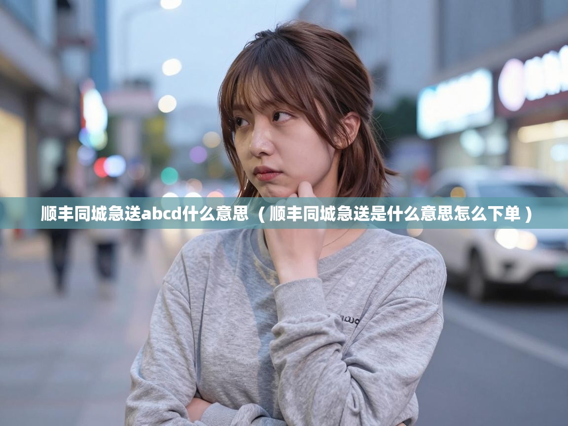  顺丰同城急送abcd什么意思  ( 顺丰同城急送是什么意思怎么下单 )