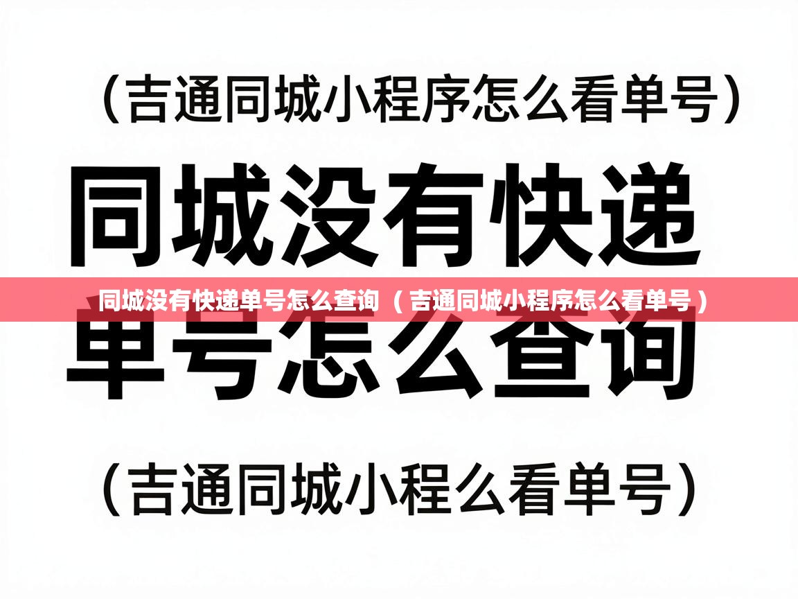  同城没有快递单号怎么查询  ( 吉通同城小程序怎么看单号 )
