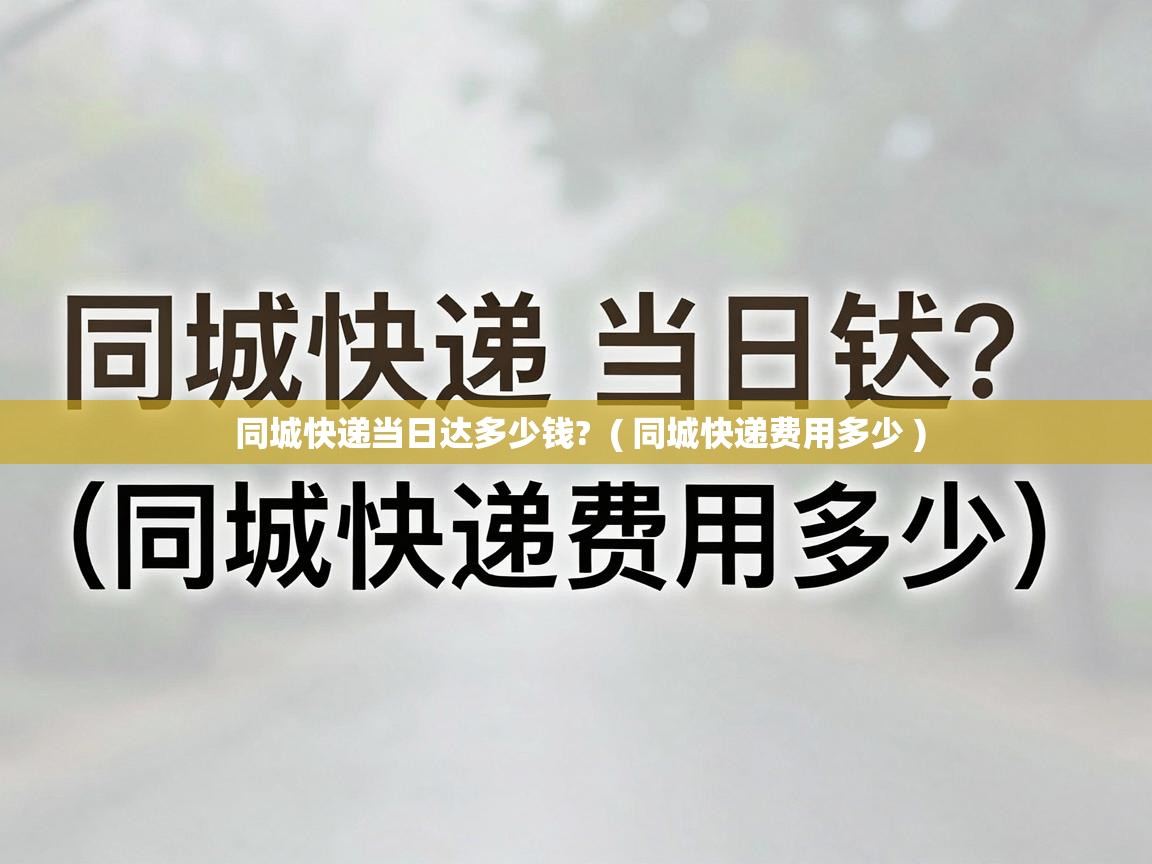  同城快递当日达多少钱?  ( 同城快递费用多少 )