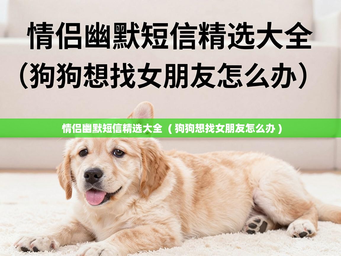  情侣幽默短信精选大全  ( 狗狗想找女朋友怎么办 )