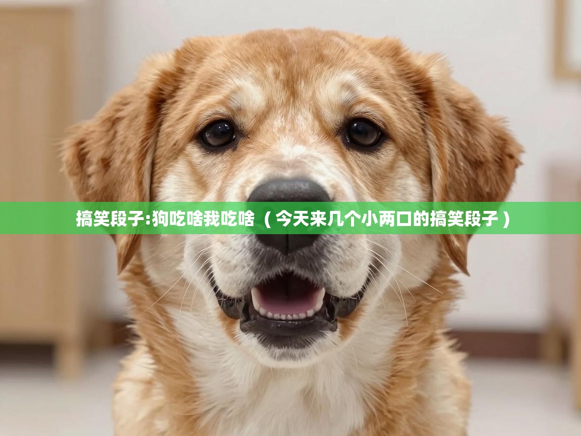  搞笑段子:狗吃啥我吃啥  ( 今天来几个小两口的搞笑段子 )