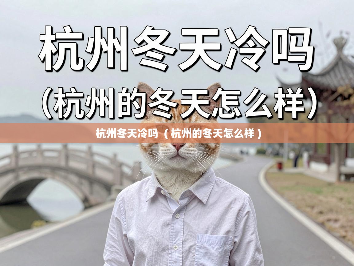  杭州冬天冷吗  ( 杭州的冬天怎么样 )